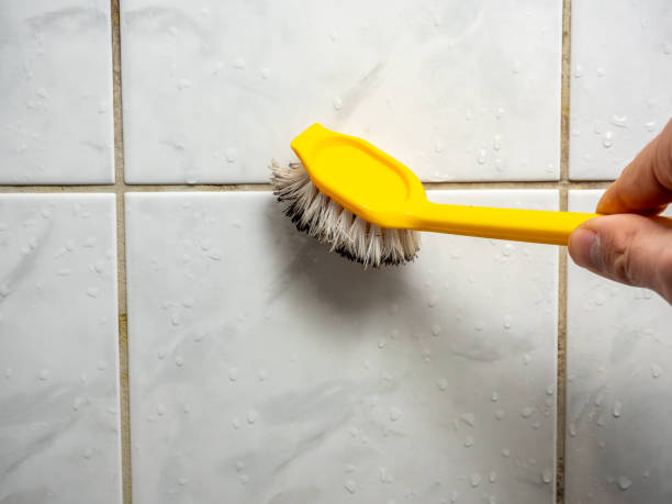 Best Home Mold Removal  in Belton, TX