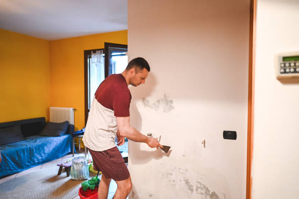 Best Emergency Mold Removal  in Belton, TX